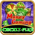 australian cricket Elite - Win Real PKR