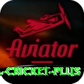 bbl cricket Gaming Ultimate