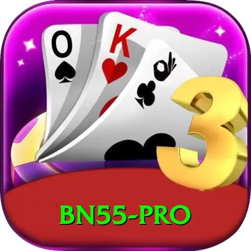 bn55 Casino Premium v2.1.6 - 2