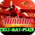 cricket bat Champion Latest v5.9.9