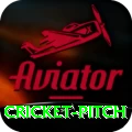 cricket pitch Pro v2.3.6