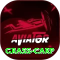 grass carp Legend APK v1.7.8