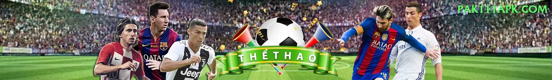 sports cricket Premium - Free Download Screenshot 1