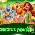 india cricket match Slots Gold v4.1.8
