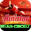 india pakistan cricket Slots Super v5.9.0