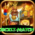 india pakistan cricket match Casino VIP v1.5.1