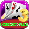india pakistan cricket - Turbo v3.3.1