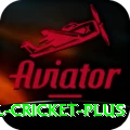 international cricket App Mega v2.9.2