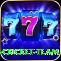 ireland cricket team Slots Gold v2.6.4