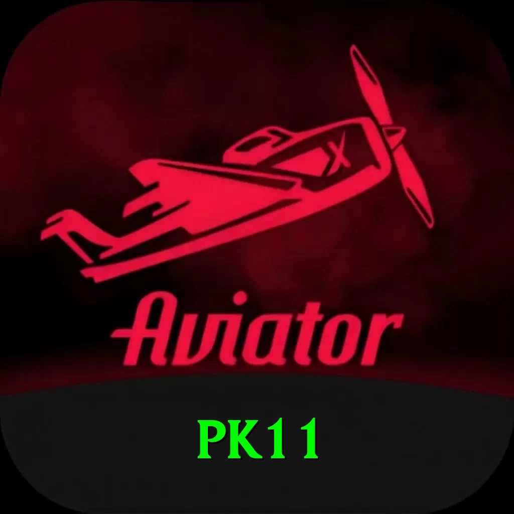 pk11 Plus Pro v2.6.0 - 2