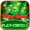 play cricket - Max Earning App