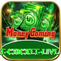 smart cricket live Slot Machine Premium