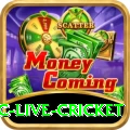 smartcric live cricket - Real Money Elite