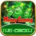 test cricket Games Prime