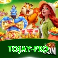 tojay VIP v1.7.9
