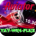 Yay Win Apps (Tools & Injectors) Elite v2.5.8